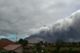 Sinabung 6 kali semburkan debu 200-2.000 meter