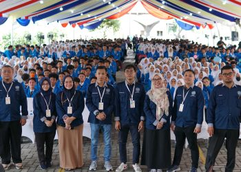 pkkmb fikti umsu 2023