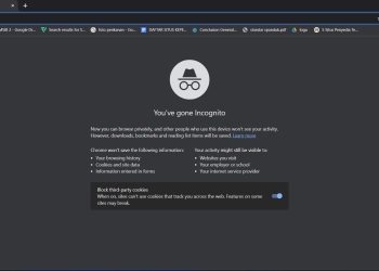 Pengertian dan Fungsi Incognito Mode
